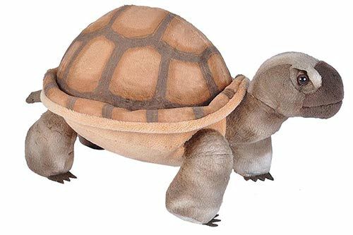 Aquatic | Desert TortiseStuffed Animal – 12"