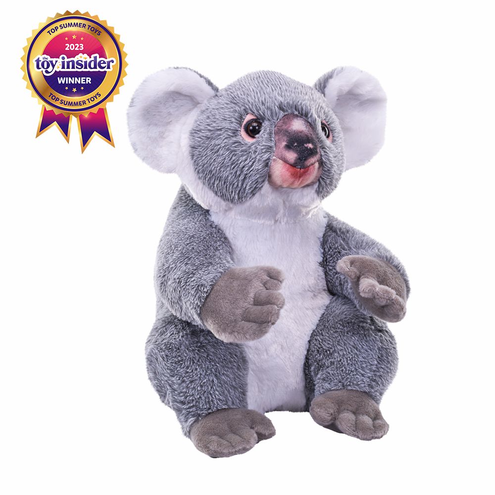 Australian | Artist Collection – Koala