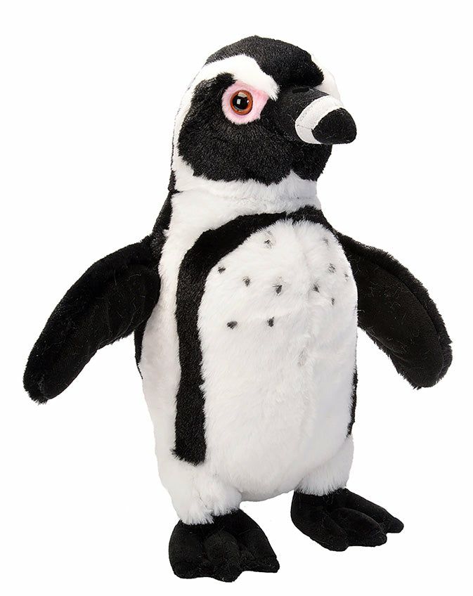 Polar | Black Footed Penguin Stuffed Animal – 12"