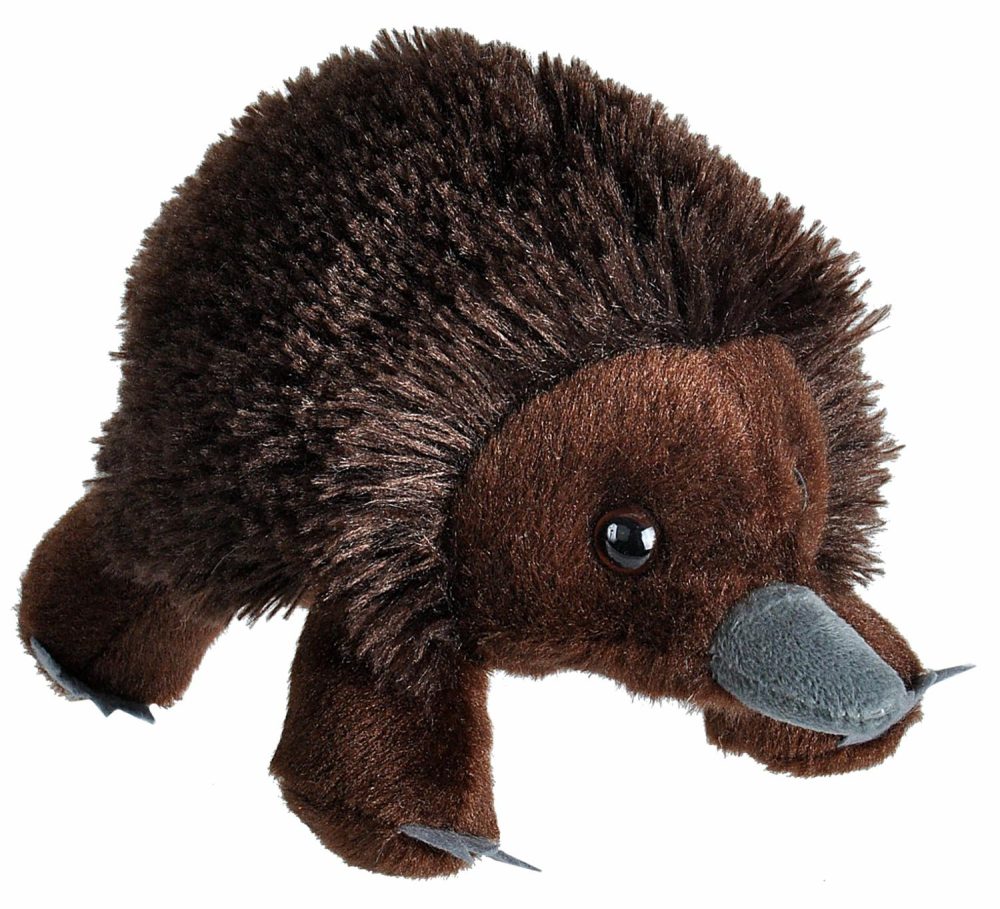 Wilderness | Hug’ems Echidna Stuffed Animal – 7"